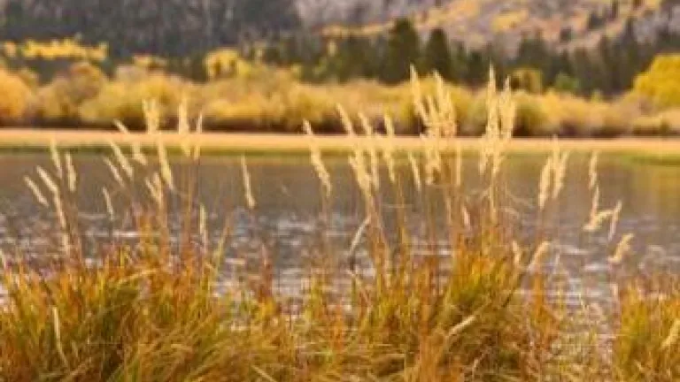 God's Plan as Revealed by His Holy Days