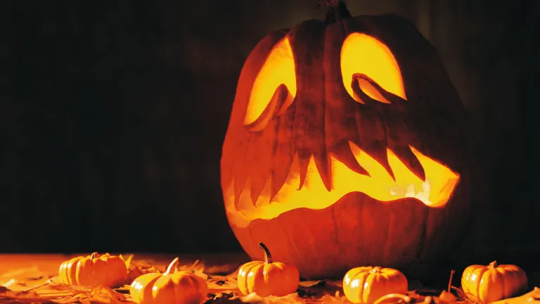 A carved pumpkin.
