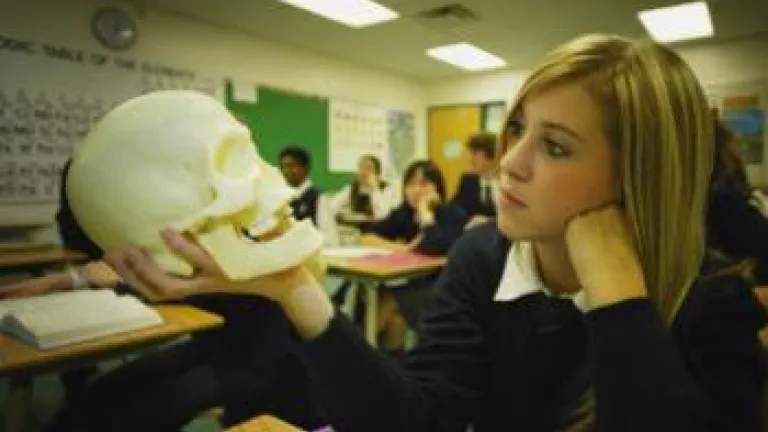 Help Your Child Refute Evolution