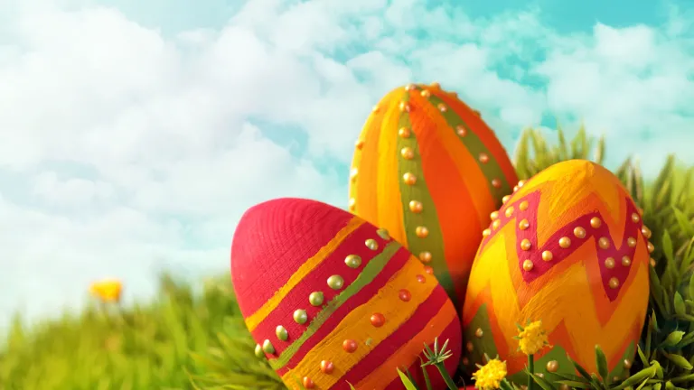 Decorative eggs in grass.