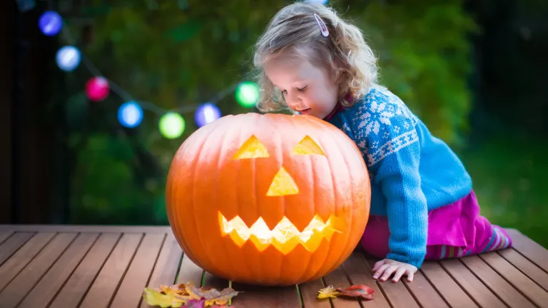 A little girl looking side a carved pumpkin jack o latern