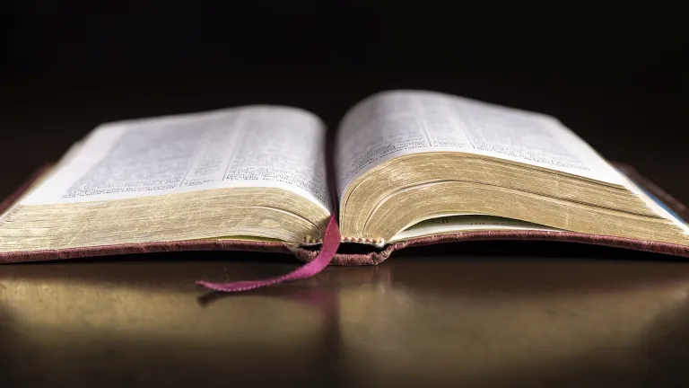 An open Bible.
