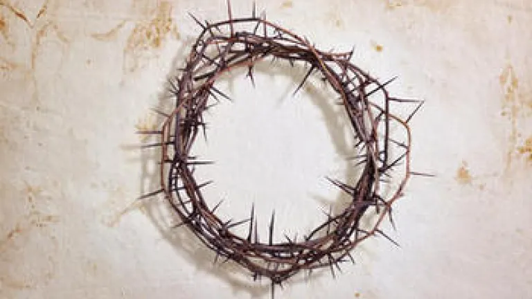 How Was Jesus' Success in Remaining Sinless Assured? crown of thorns