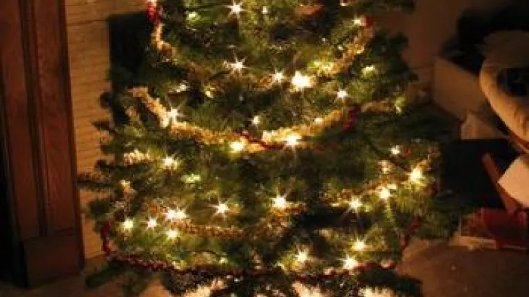 I Won’t Be Decorating My Tree with Popcorn Strings
