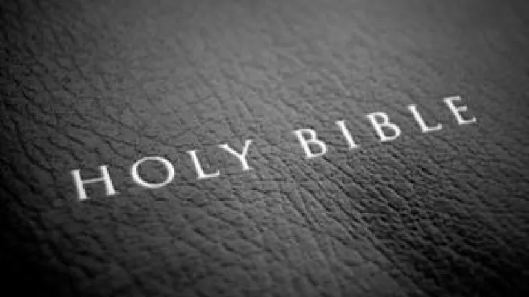 If You Had Only One Book...