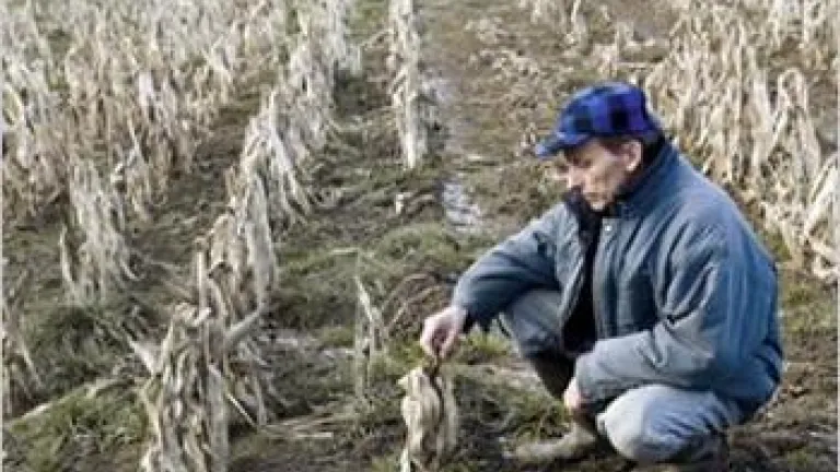 Is a Global Food Crisis Brewing? Is a Global Food Crisis Brewing?
