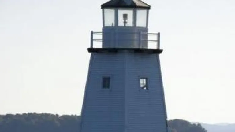 Is Honesty a Rarity?