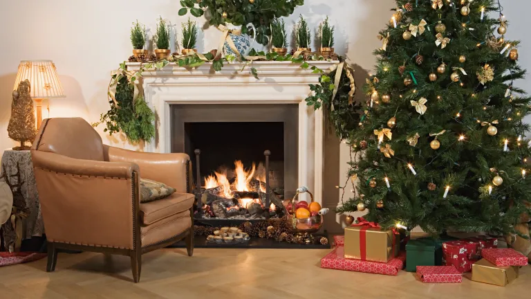 A Christmas tree in a festively decorated living room.