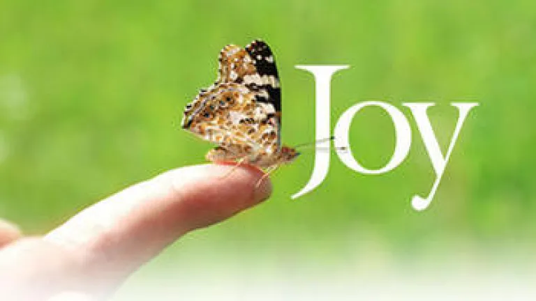 Joy in a Butterfly! Joy in a Butterfly!
