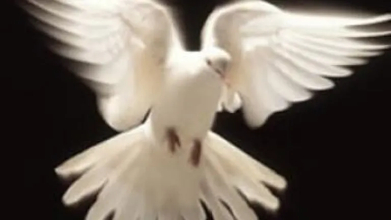 Know Jesus, Know Peace Know Jesus, Know Peace