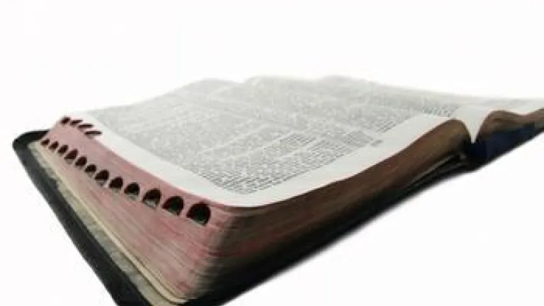 Life Lessons:  Six Points to Consider About the Heart