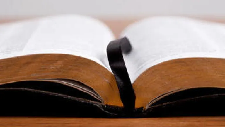 Life Lessons: Wisdom vs. Foolishness Life Lessons: Wisdom vs. Foolishness