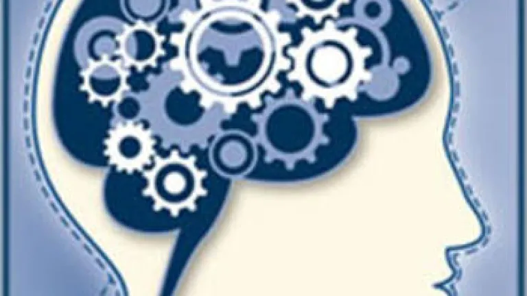 Maturity: Coming Soon to a Mind Near You