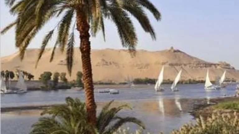 'No True Democracy Yet in Egypt': I'm Shocked!