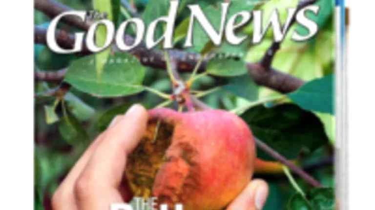 November/December issue of the Good News