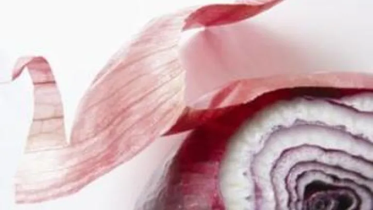 Onion skin