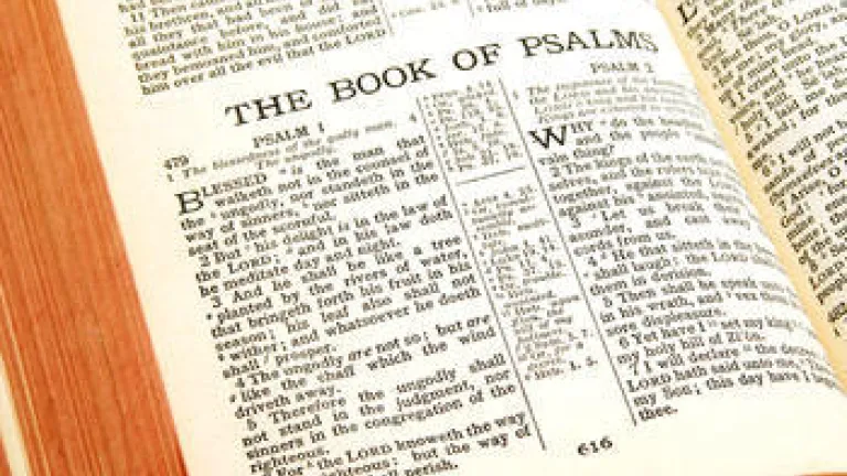 Point of Wisdom: Pray With a Psalm in Your Heart Point of Wisdom: Pray With a Psalm in Your Heart