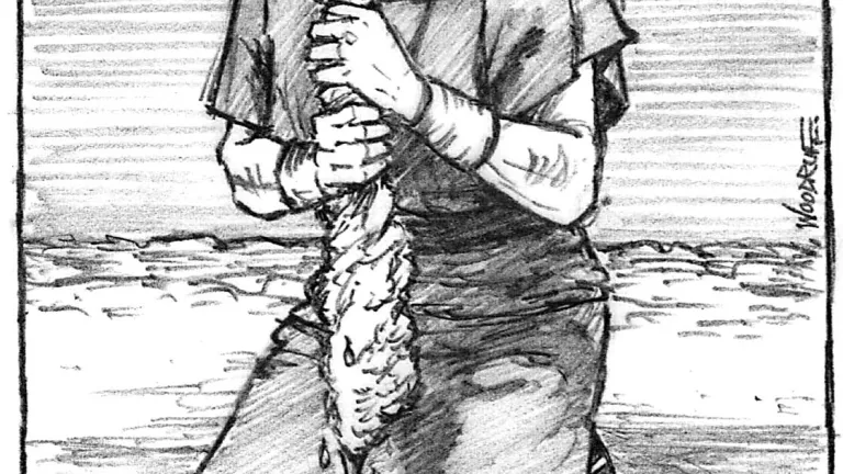 Illustration of Gideon squeezing the dew out of piece of wool.