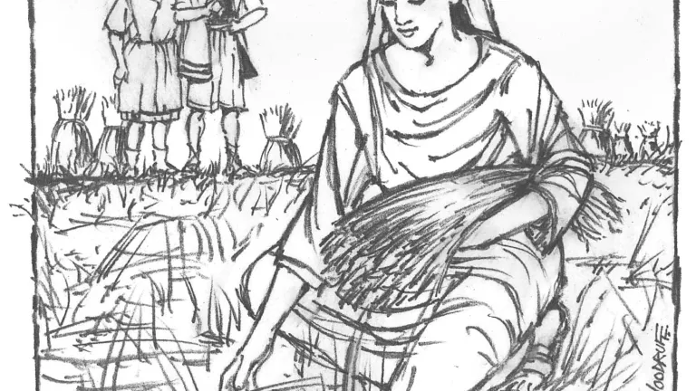 Illustration of Ruth picking grain.