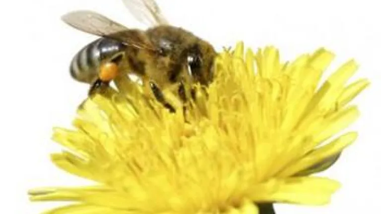 Prove Evolution Is False Even Without the Bible