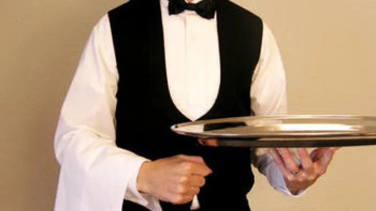 Proverbs: A Wise Servant waiter
