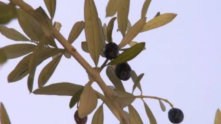 Putting Hope Back in God