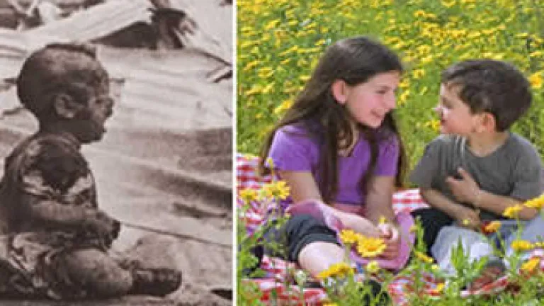 Suffering: How It Began, How It Will End