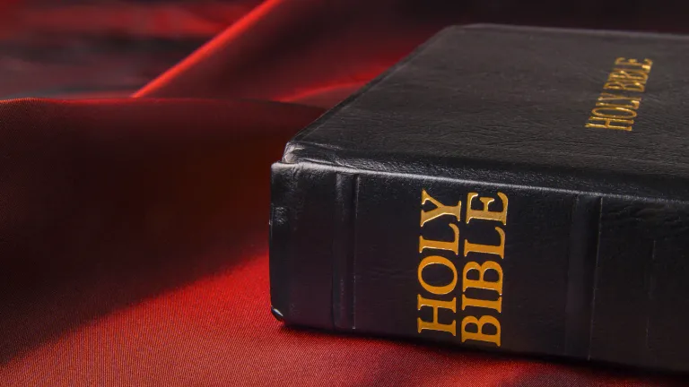 What does God say about the Bible? A Bible sitting on a red piece of cloth.