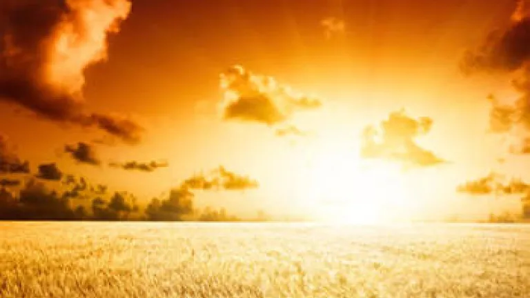 Sunrise of a field of grain.