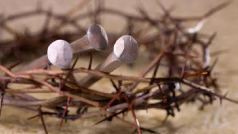 Crown of thorns with large nails.
