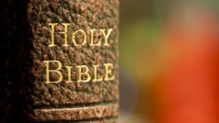 The Character of History