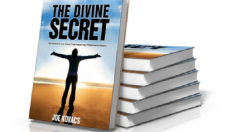 The Divine Secret by Joe Kovacs