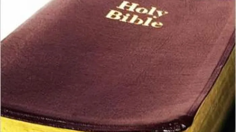 The King James Bible in British and American History