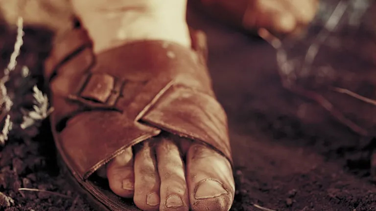 Dirty feet inside a pair of old sandals.