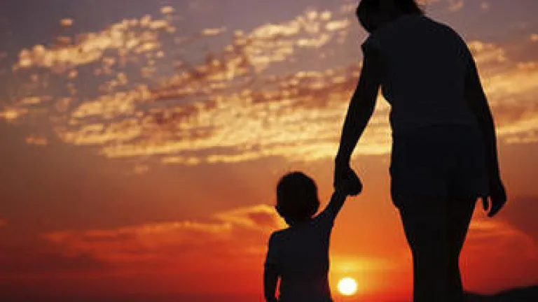 A mother holding her child's hand while watching the sun set.