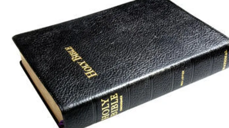 The Old Testament in the New Testament