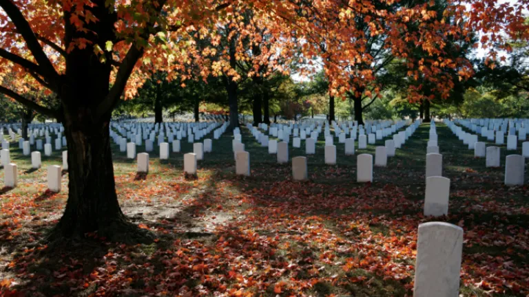 gravestones