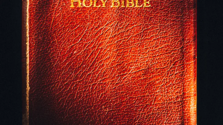 Our lives must be built on the sure foundation of the words of God - the Bible. A picture of the Bible