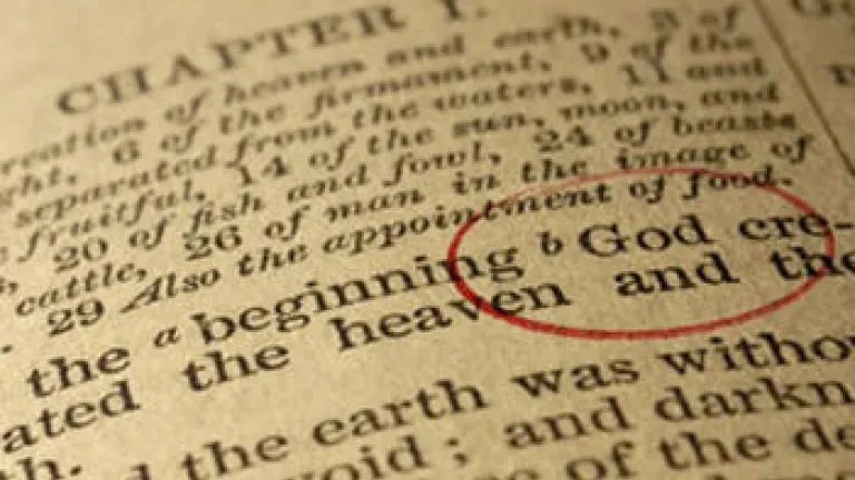 The Variation of Species