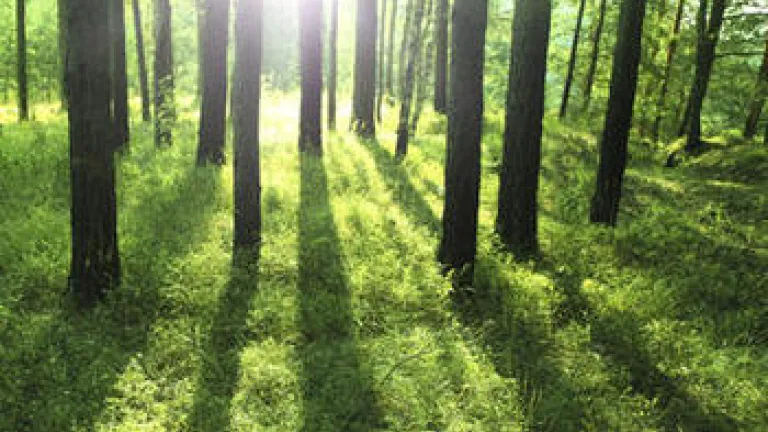 There is No Unity in Darkness