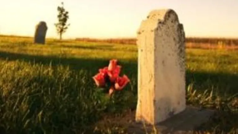 Grave with flowers at sunset - Understanding God's Word: The Resurrections of th