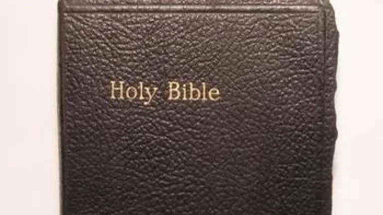 the bible