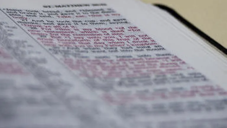 VT Sabbath Focus: Why Are You Different? open bible
