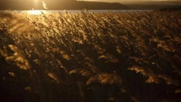 What Do the Holy Days Mean for Christians Today? Crop at sunset - What Do the Holy Days Mean for Christians Today?