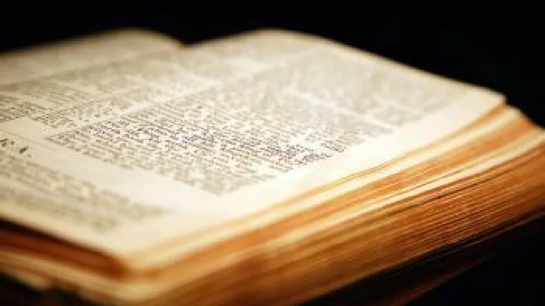 What Do They Say About the Bible?