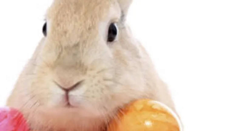 What Does Easter Really Commemorate?