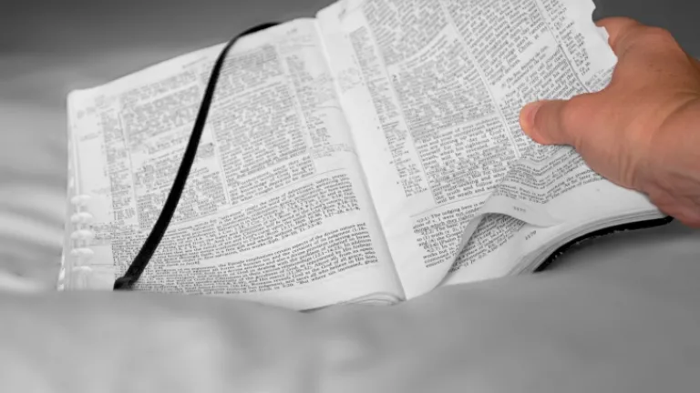An open Bible.