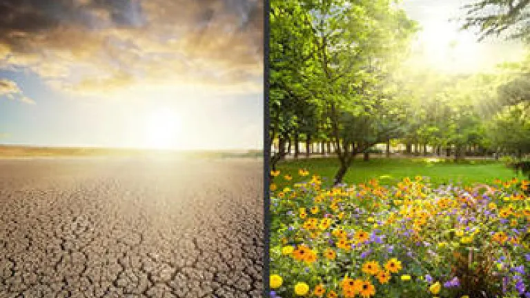 What Is the Kingdom of God? What Is the Kingdom of God?
