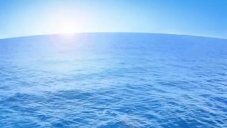 What's in Your Future?