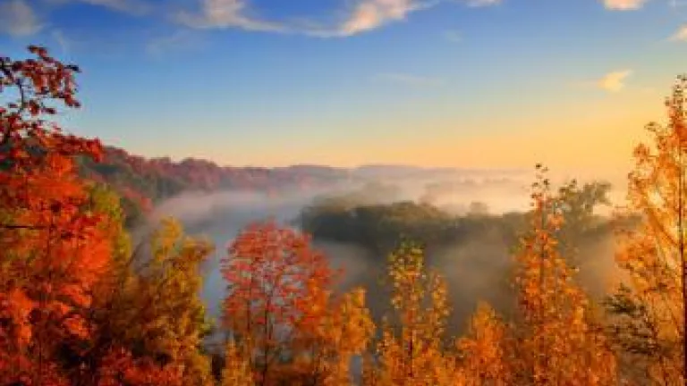 Warm fall morning - Who Could Possibly Misunderstand the Second Coming?